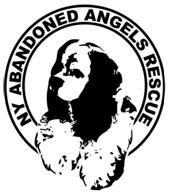 AbandonedAngels Logo