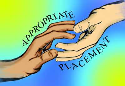 AppropriatePlacement Logo