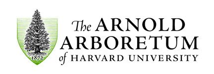 ArnoldArboretum Logo