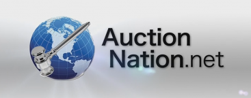 AuctionNation Logo