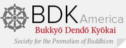 BDKAmerica Logo