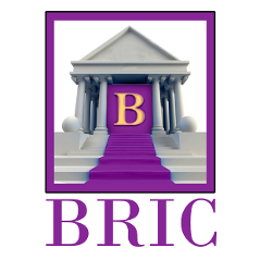 BRICLLC Logo