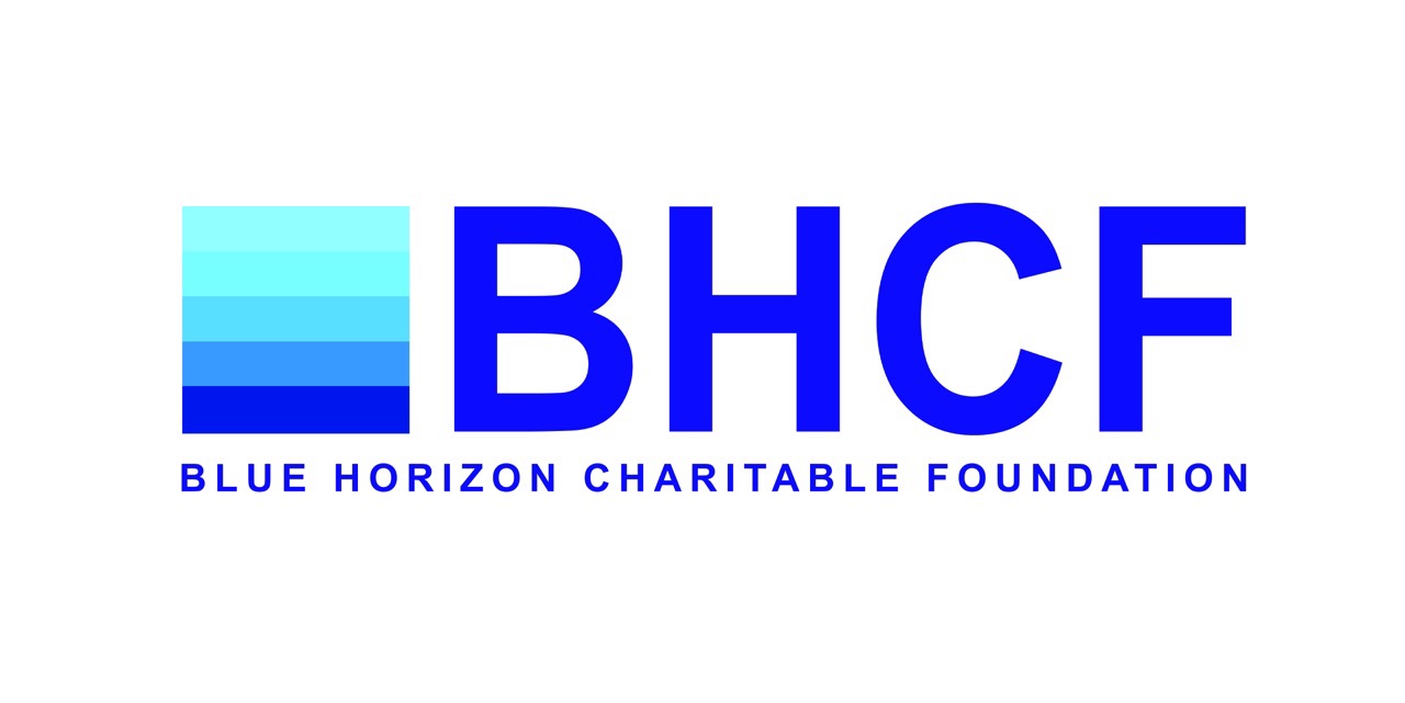 BlueHorizonIntl Logo