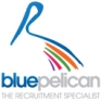 BluePelicanRec Logo