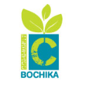 BochikaOrg Logo