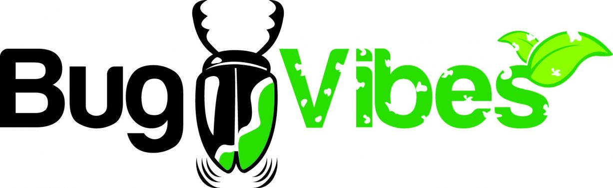 BugVibes Logo