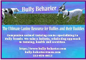Bully-Behavior Logo