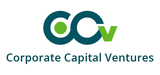 CCVIndia Logo