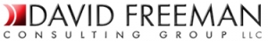 DavidFreemanConsult Logo