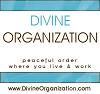 DivineOrganization Logo