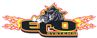 ECO Fuel Systems, LLC Logo