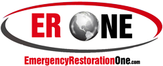 EmergencyResOne Logo