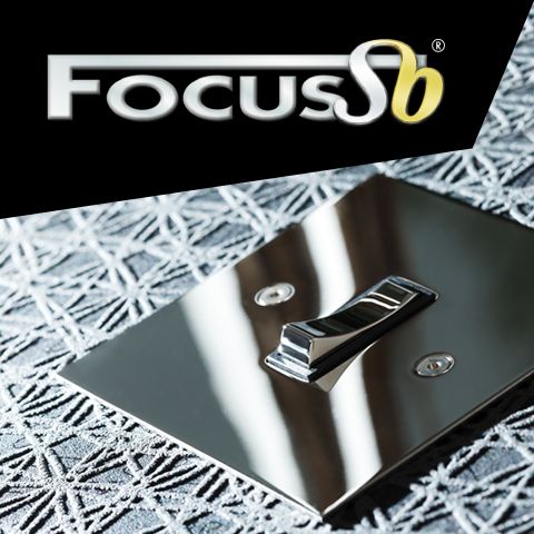 FocusSBLtd Logo