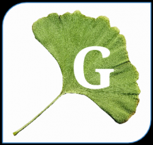 GINKGO Logo