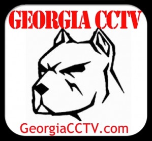 GeorgiaCCTV Logo