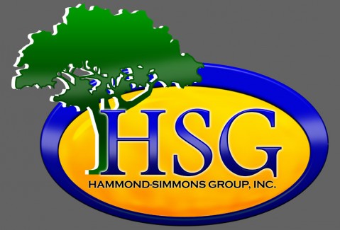 Hammond-Simmons Logo