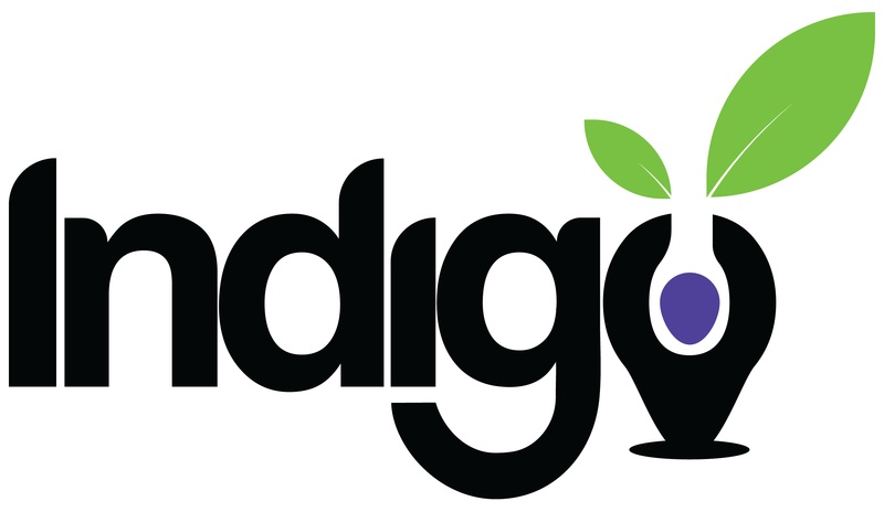 Indigofoundation Logo