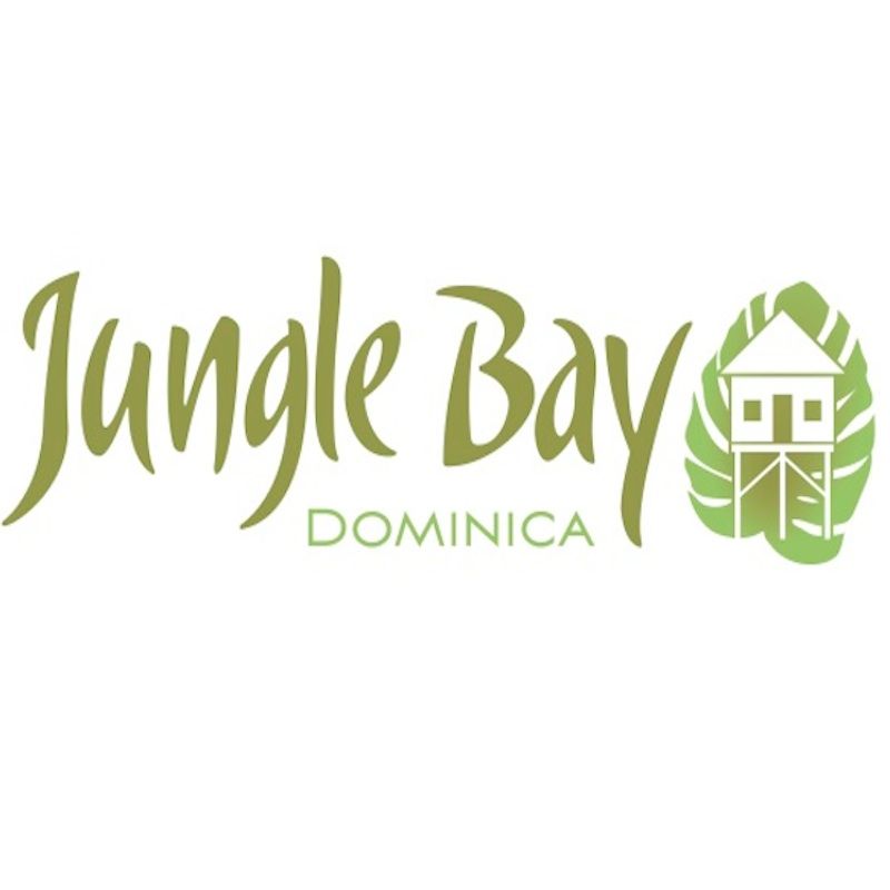 JungleBaySamRaphael Logo