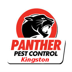 KingstonPestControl Logo