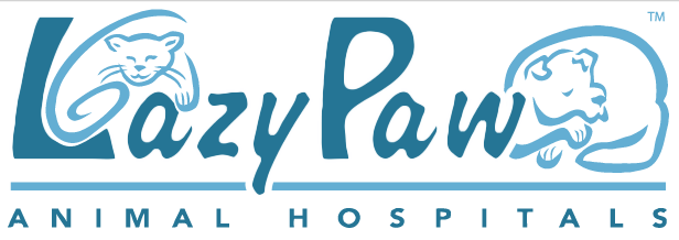 Lazy_Paw Logo