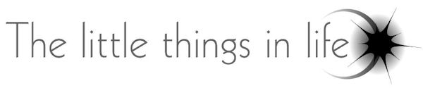 LittleThings Logo