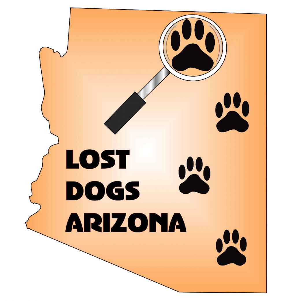 National Lost Dog Awareness Day Arizona - April 23 | PRLog