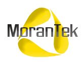 MoranTek Logo