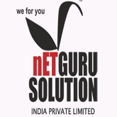 NETGURUSOLUTIONPUNE Logo