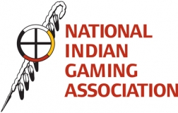 NIGA1985 Logo