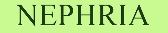 Nephria Logo