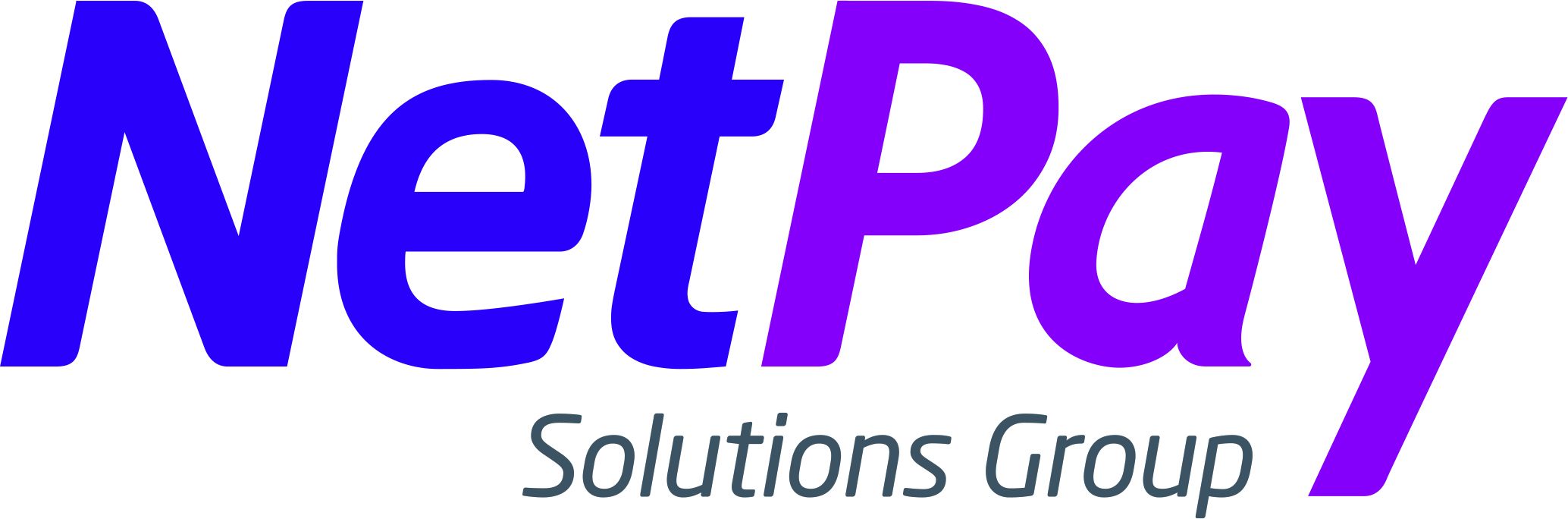 NetPayGroup Logo