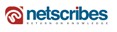 Netscribe Logo