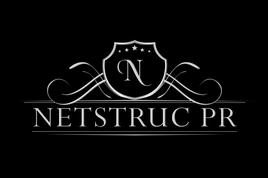 NetstrucPR Logo