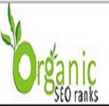 Organic_SEO_Ranks Logo