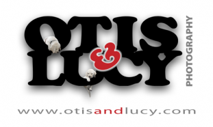 Otis_and_Lucy Logo