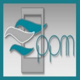 PPM_Services Logo