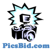 PicsBid Logo