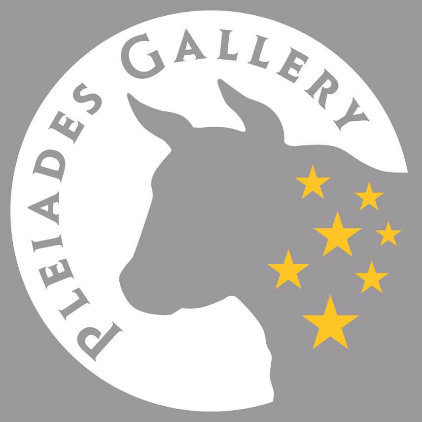 PleiadesGallery Logo