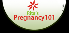 Pregnancy101 Logo