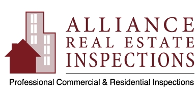RealEstateInspection Logo