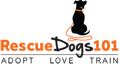 RescueDogs101 Logo