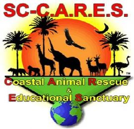 SC-CARES Logo