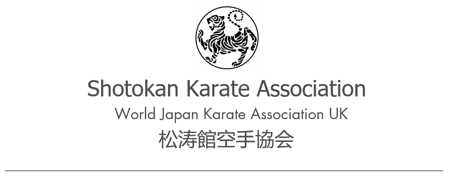 SKAkarate Logo