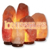 Salt_Lamps Logo