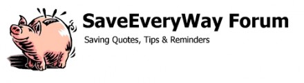SaveEveryWay Logo