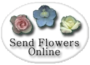 SendFlowersOnline Logo