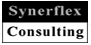 Synerflex-Consulting Logo