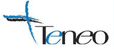 Teneo_Ltd Logo