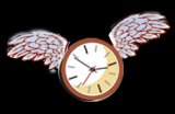TimeGoesFly Logo