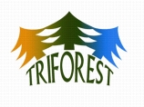 TriForest Logo